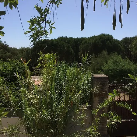 Tatil Evi Maison D'elie Saint-Tropez